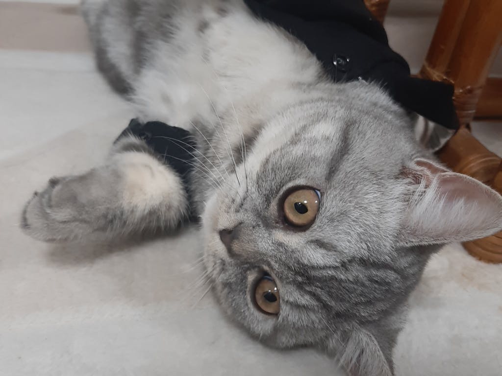 5番目のメイン画像