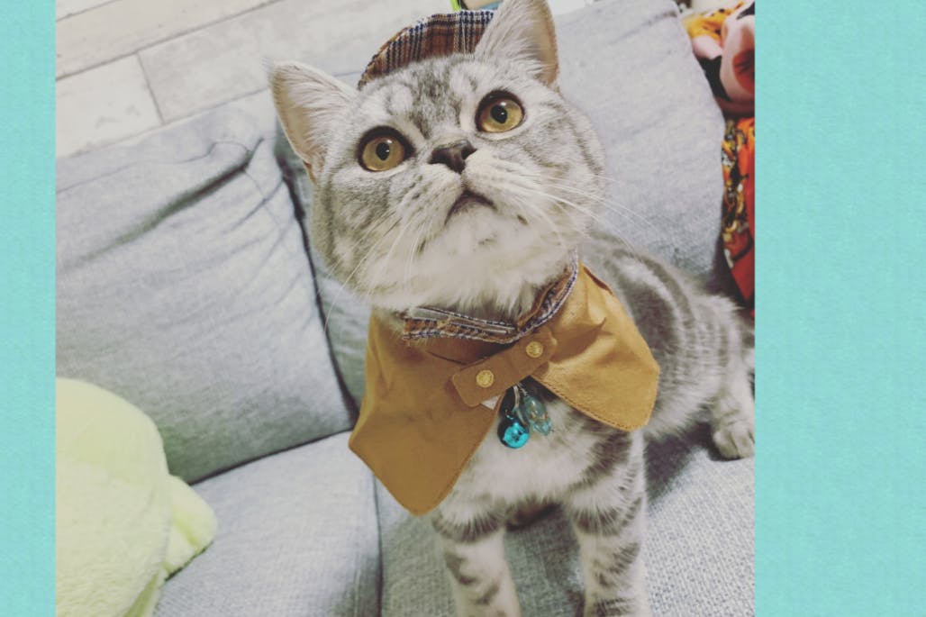 1番目のメイン画像