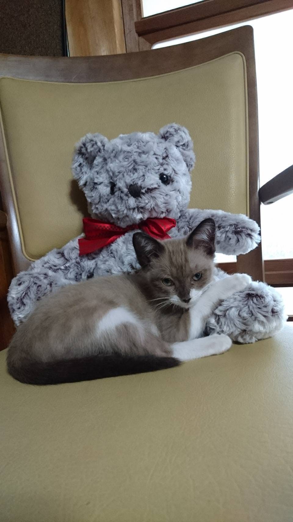 2番目のメイン画像