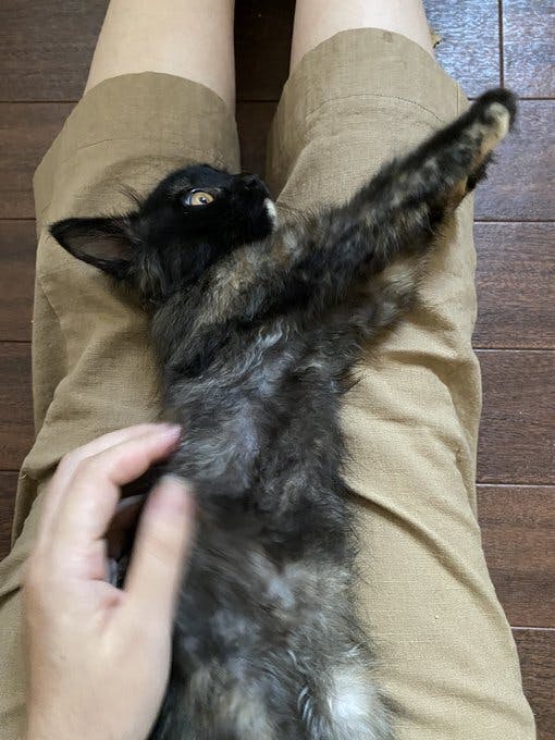 3番目のメイン画像