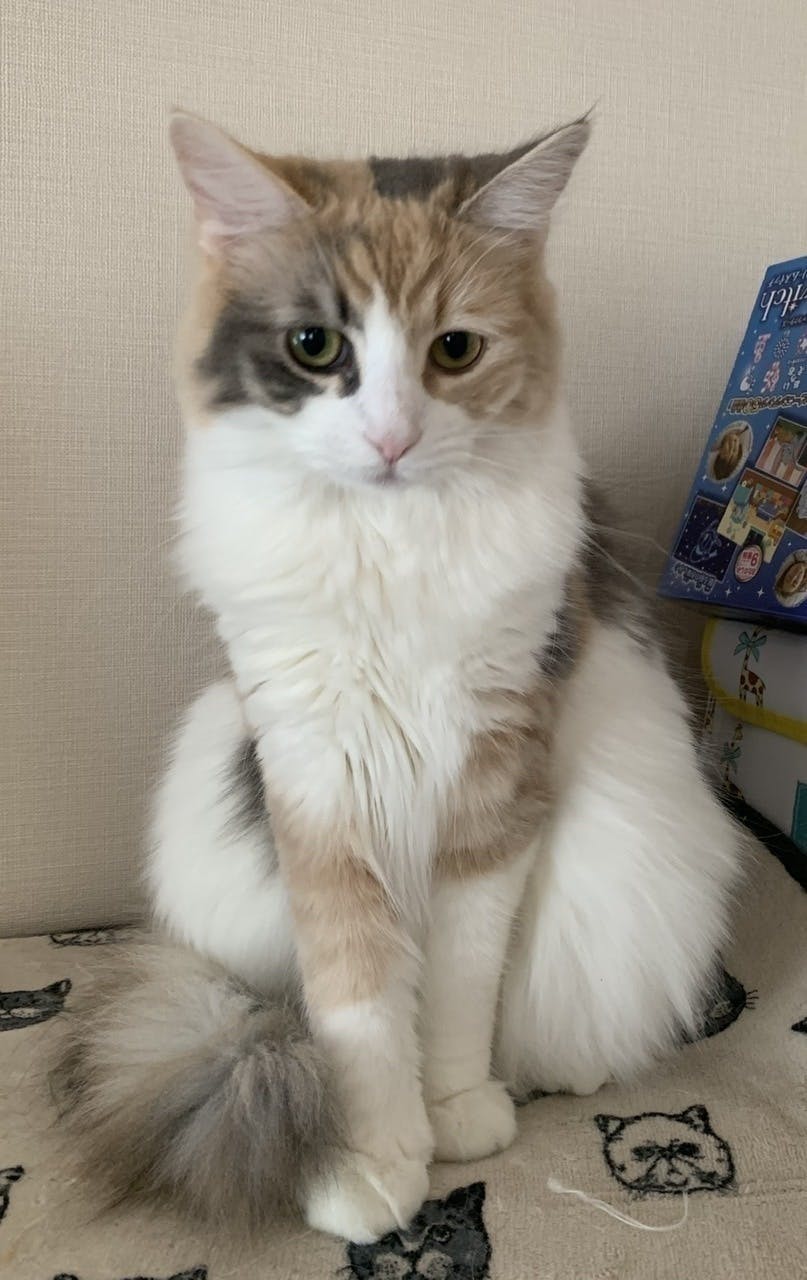 4番目のメイン画像