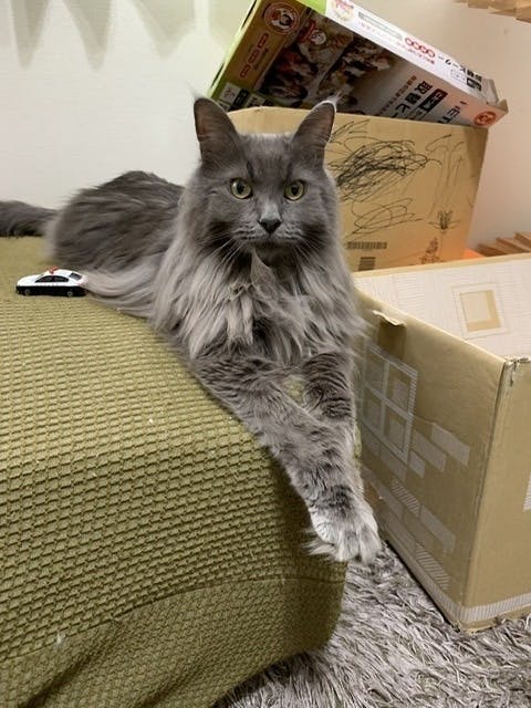 2番目のメイン画像