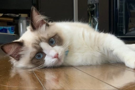 1番目のメイン画像