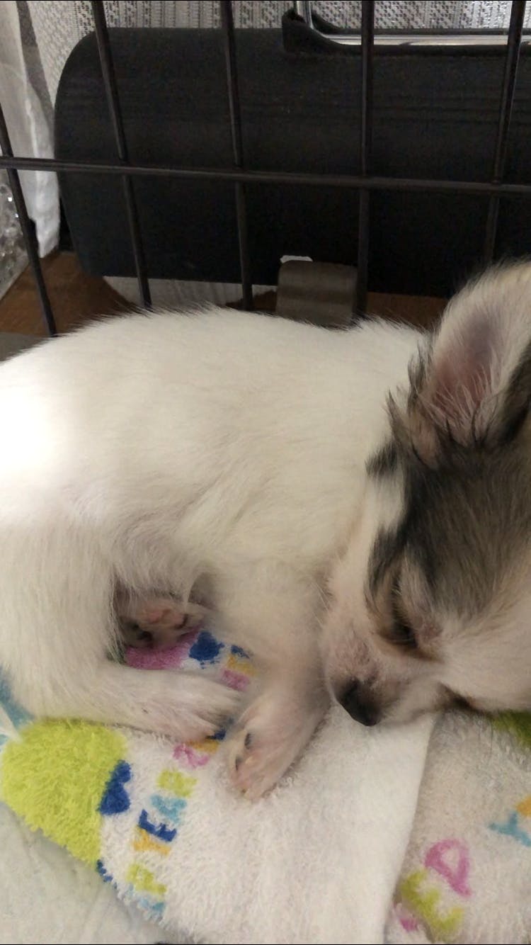 5番目のメイン画像