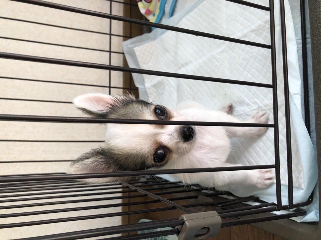 4番目のメイン画像