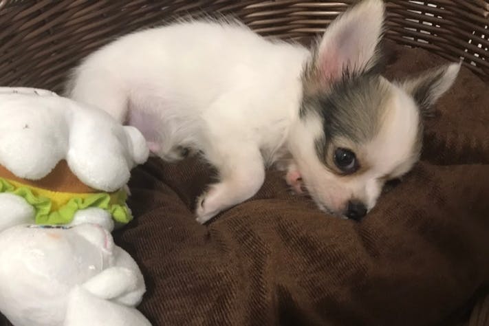 1番目のメイン画像