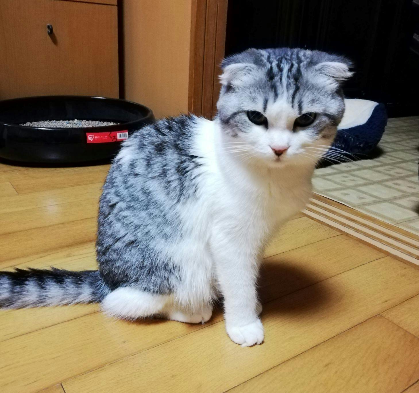 2番目のメイン画像