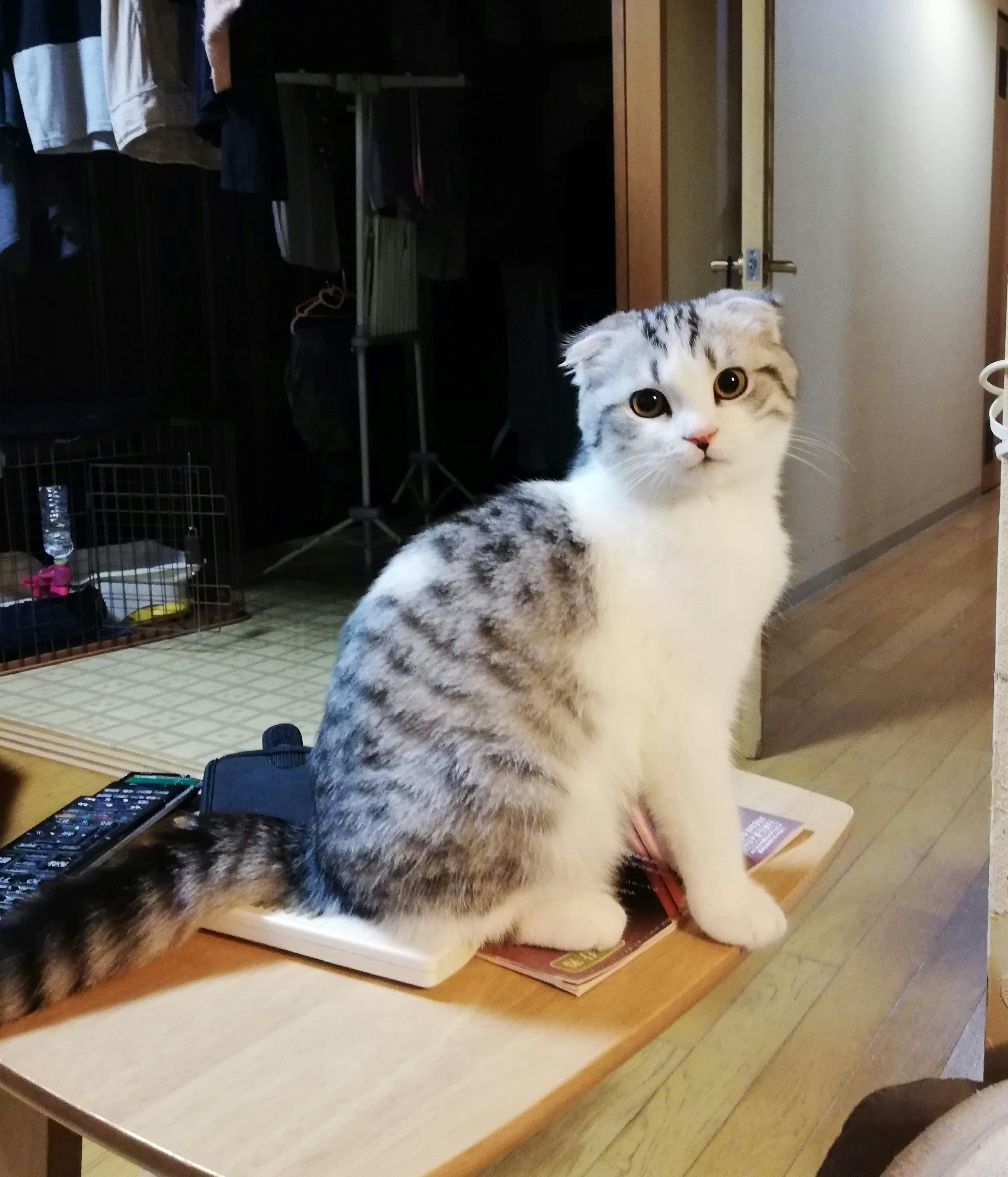 5番目のメイン画像