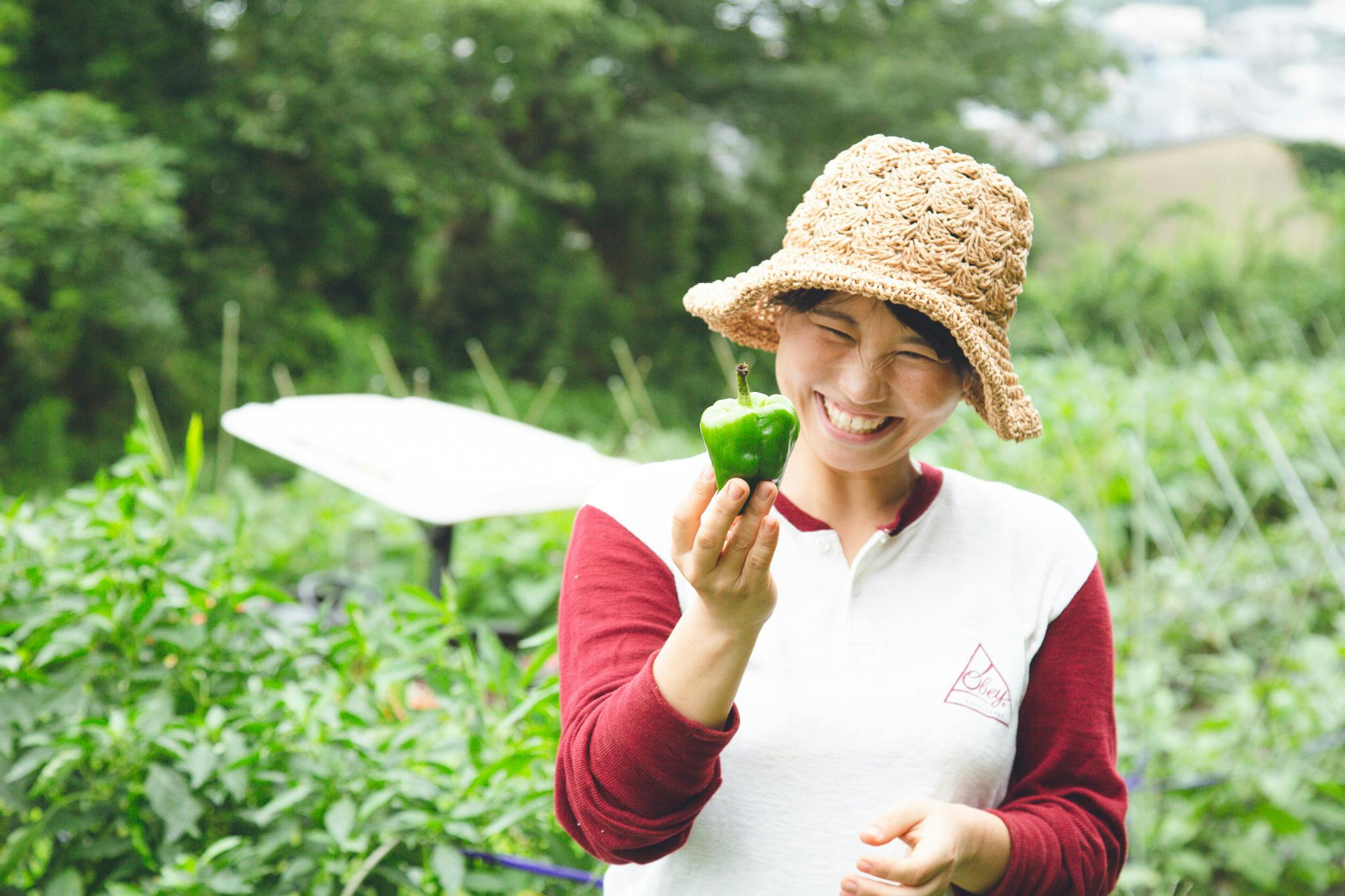 4番目のメイン画像