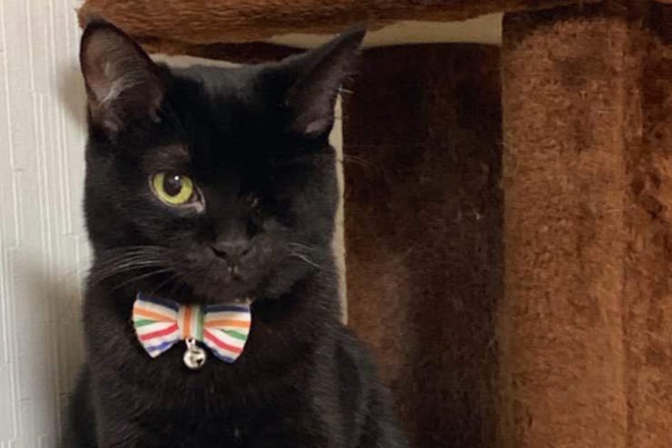 36a29093-ff2e-4681-86ae-