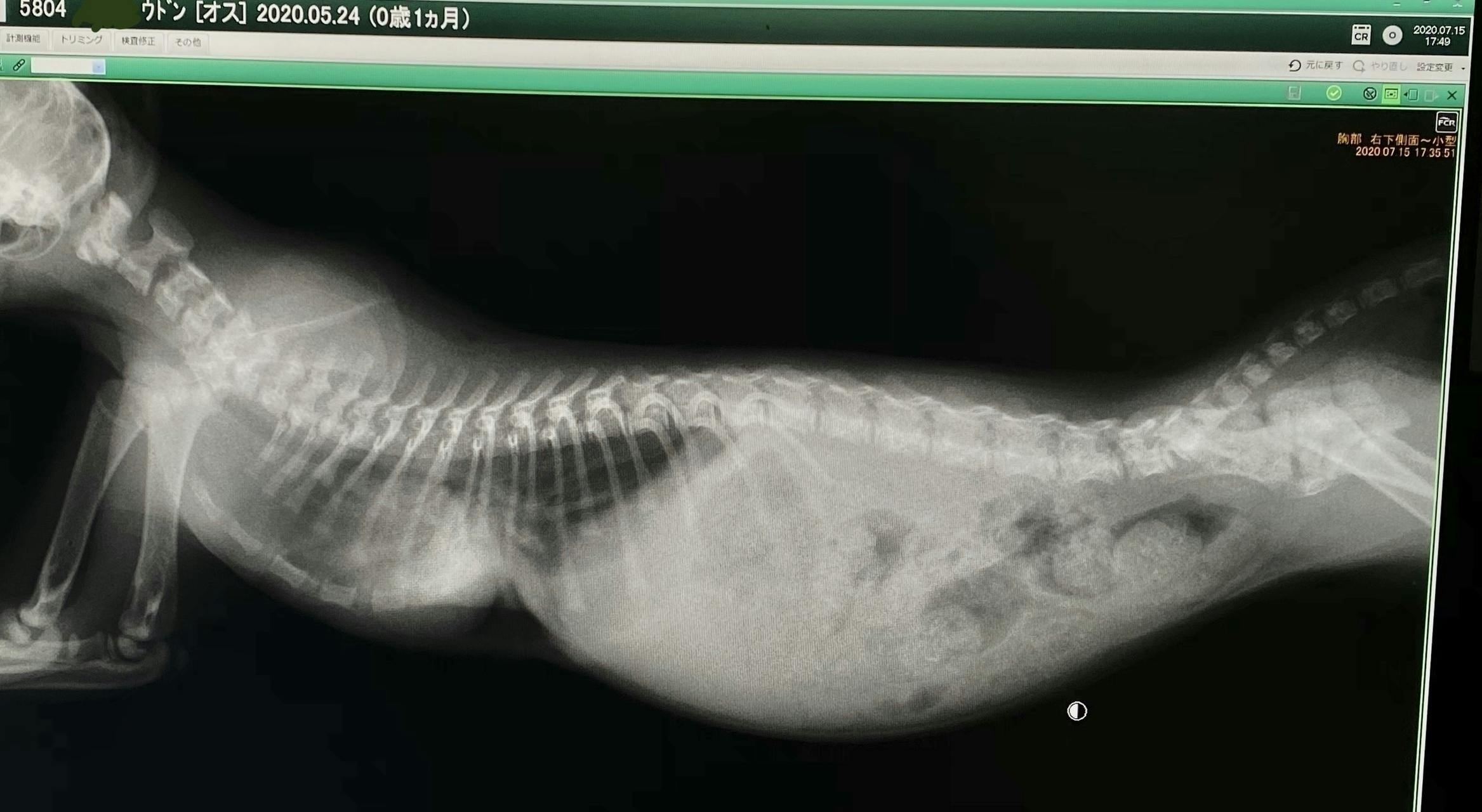 2番目のメイン画像