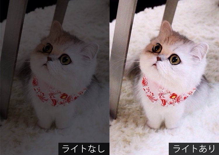 5番目のメイン画像