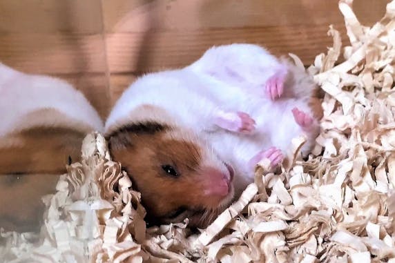 1番目のメイン画像