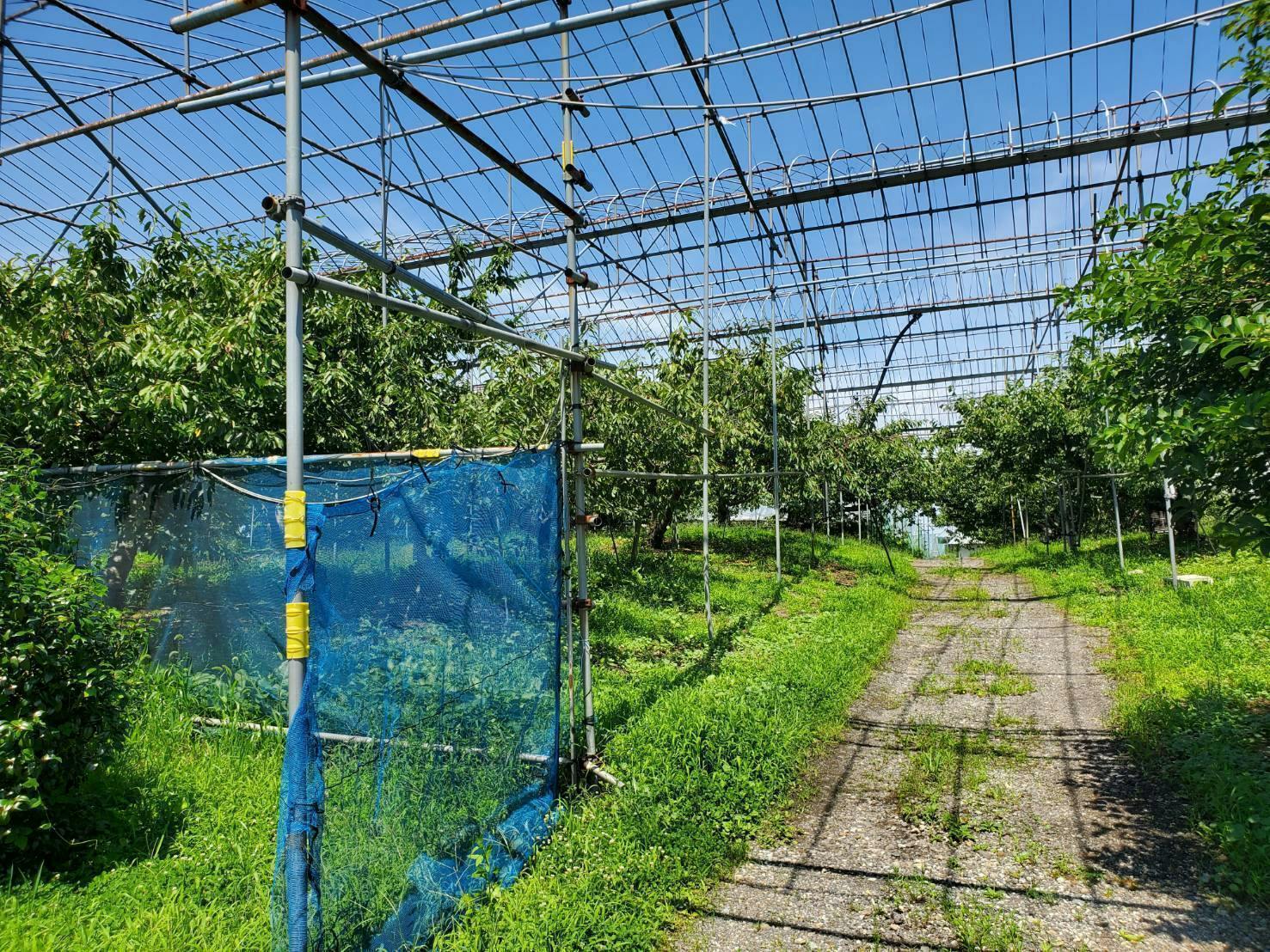 4番目のメイン画像