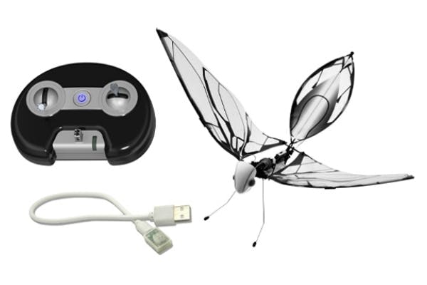 5番目のメイン画像