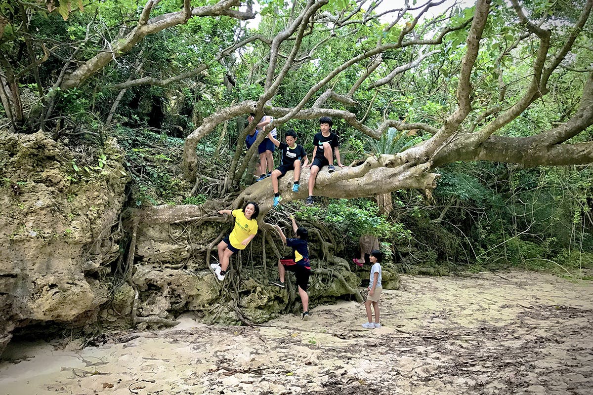 2番目のメイン画像