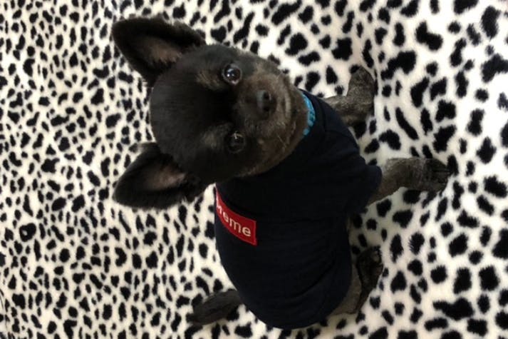 1番目のメイン画像