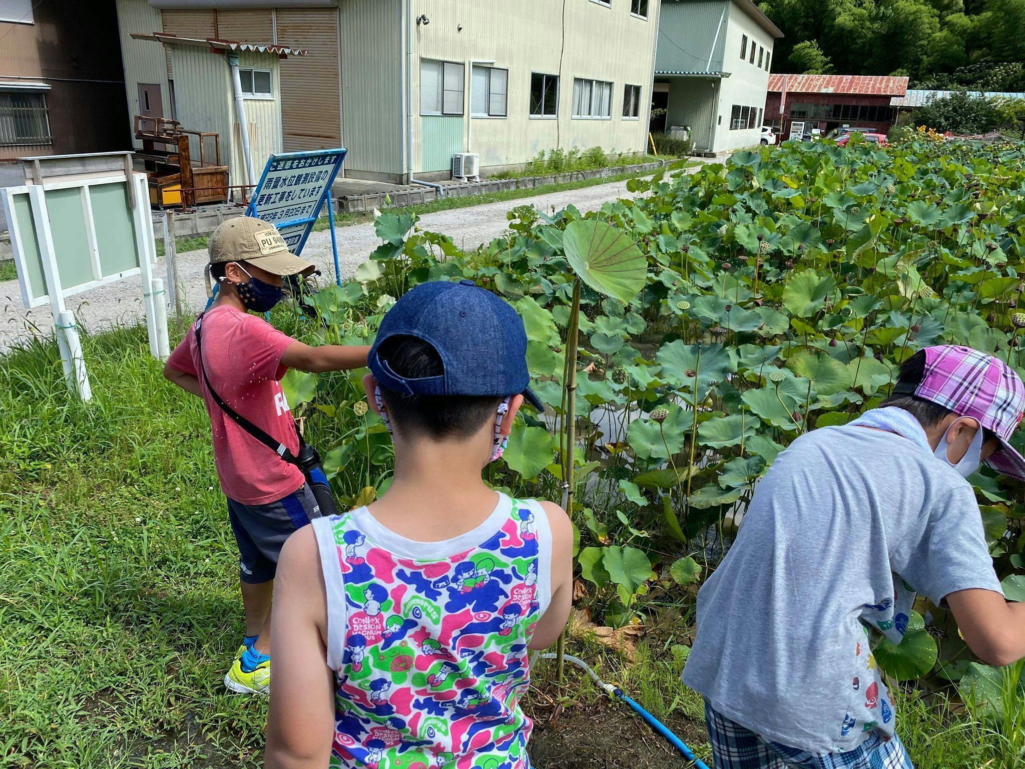 4番目のメイン画像