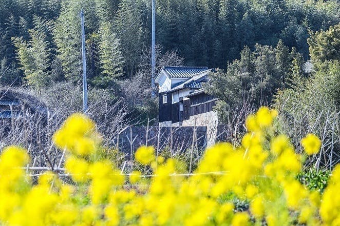 5番目のメイン画像