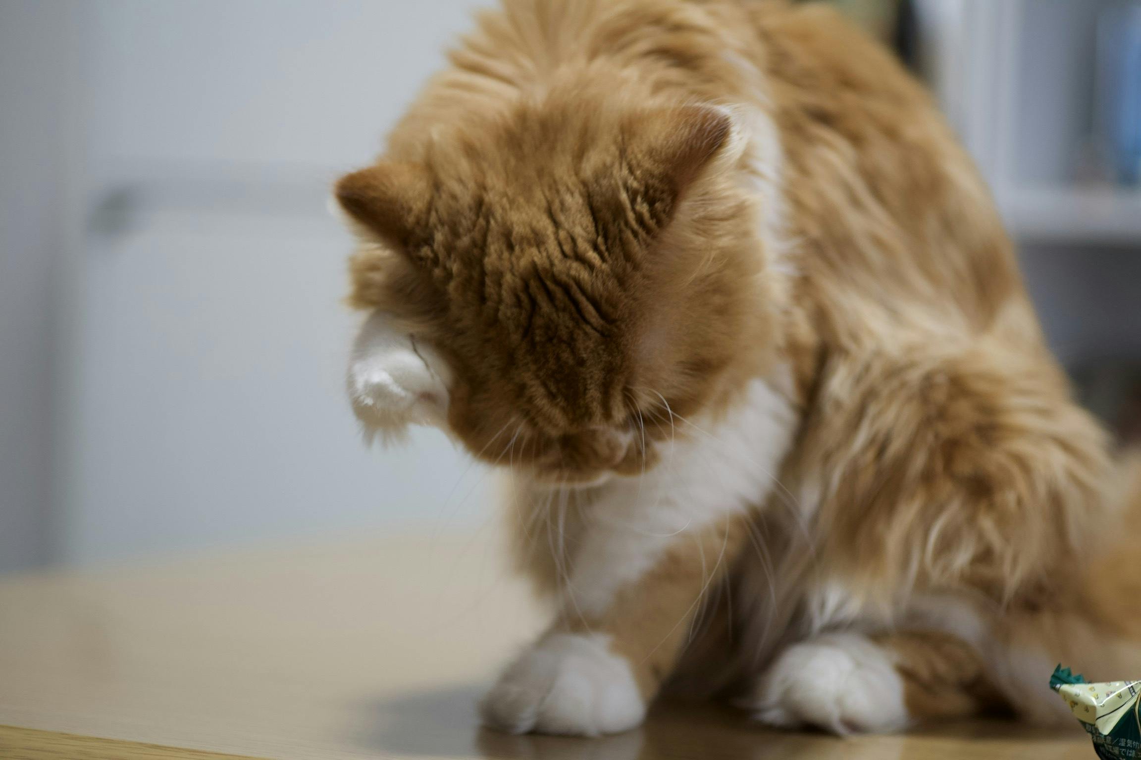 3番目のメイン画像