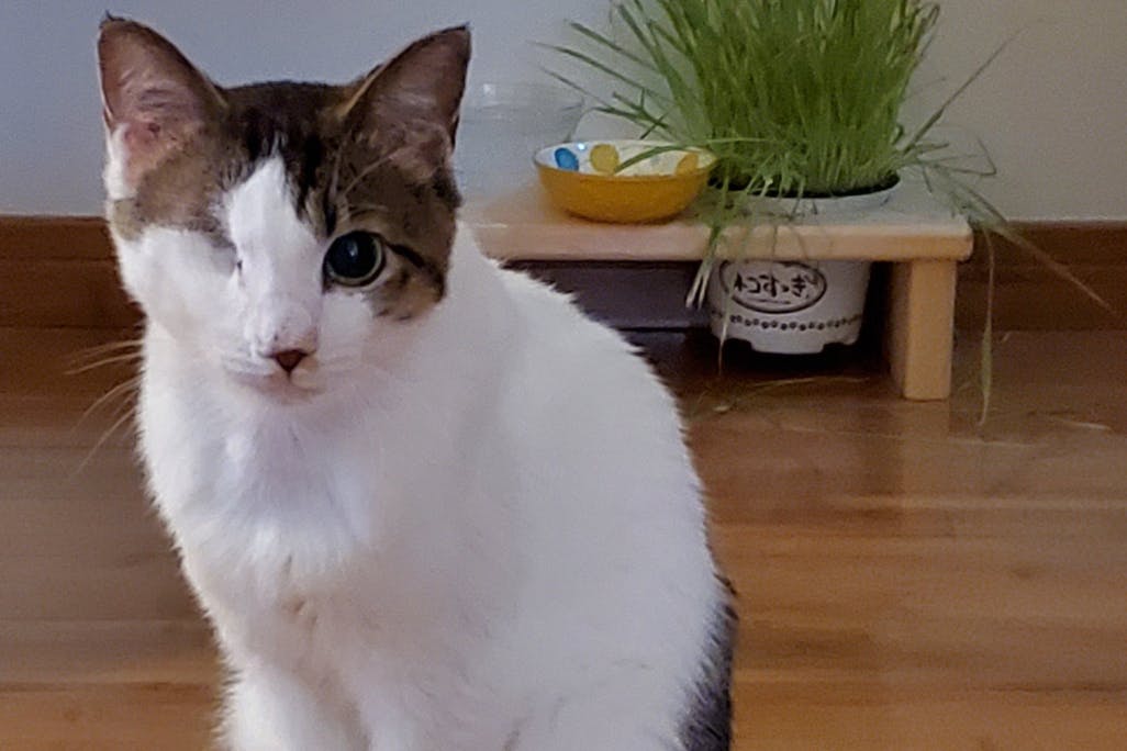 1番目のメイン画像