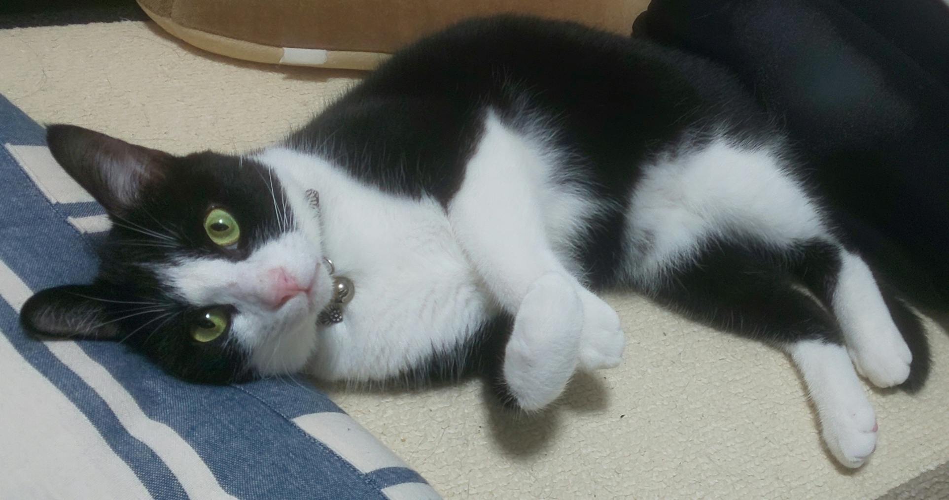 3番目のメイン画像