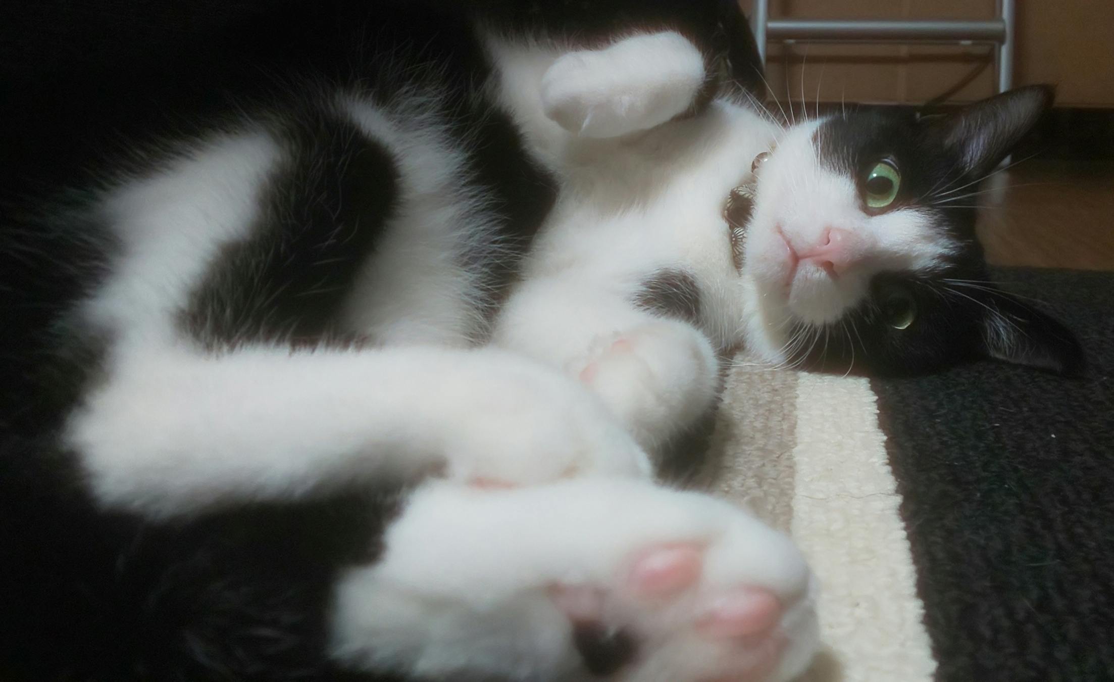 2番目のメイン画像