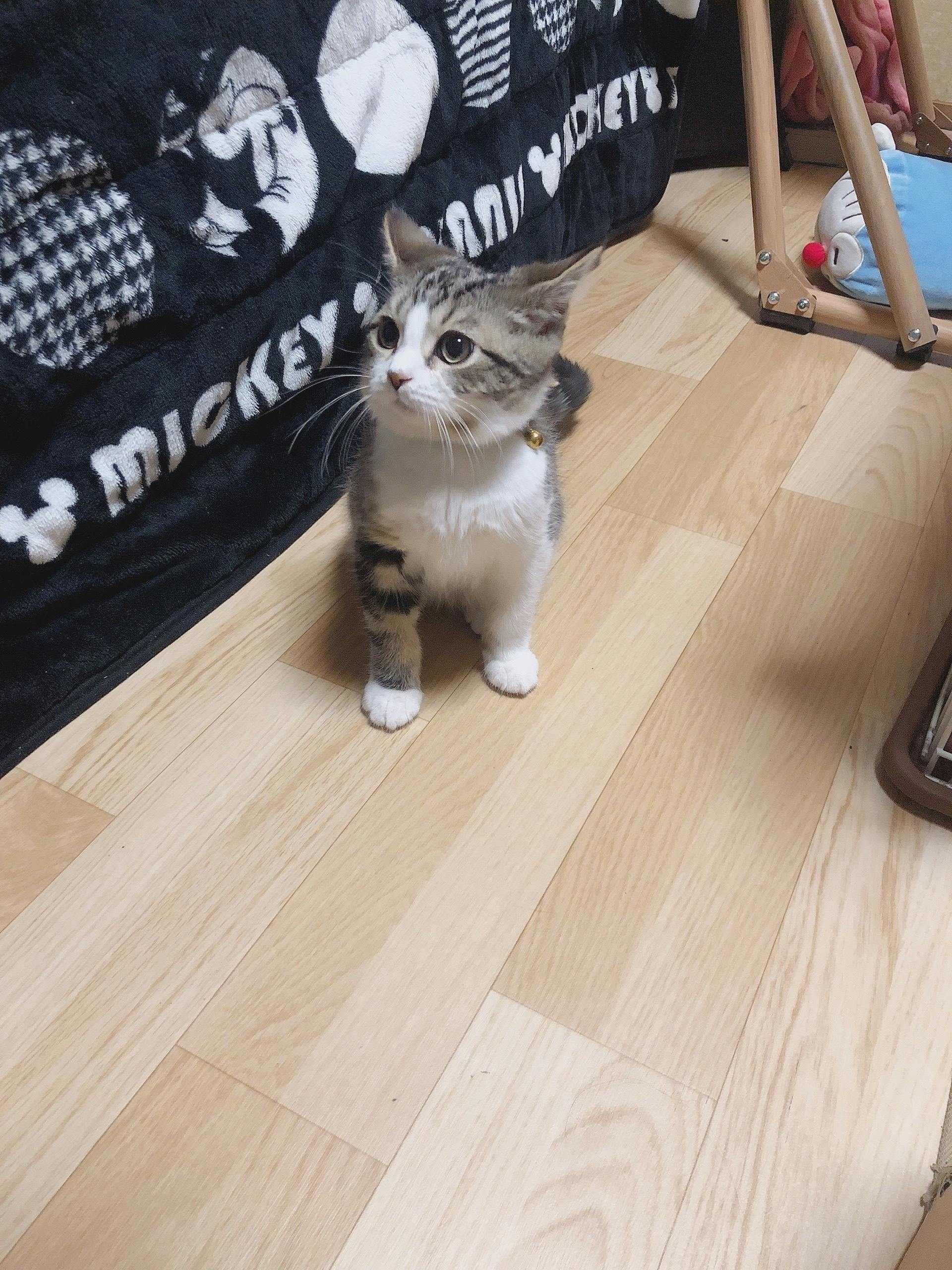 3番目のメイン画像