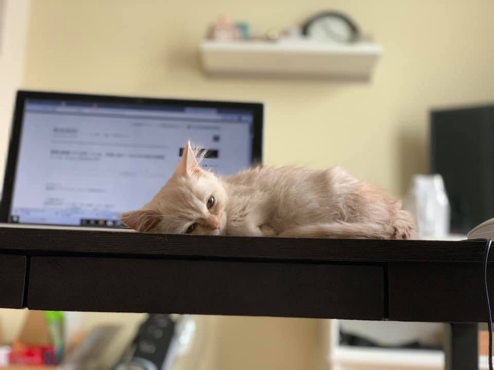 5番目のメイン画像