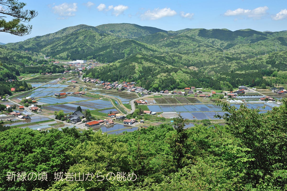 2番目のメイン画像