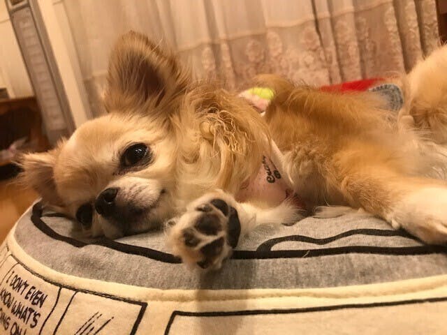 4番目のメイン画像