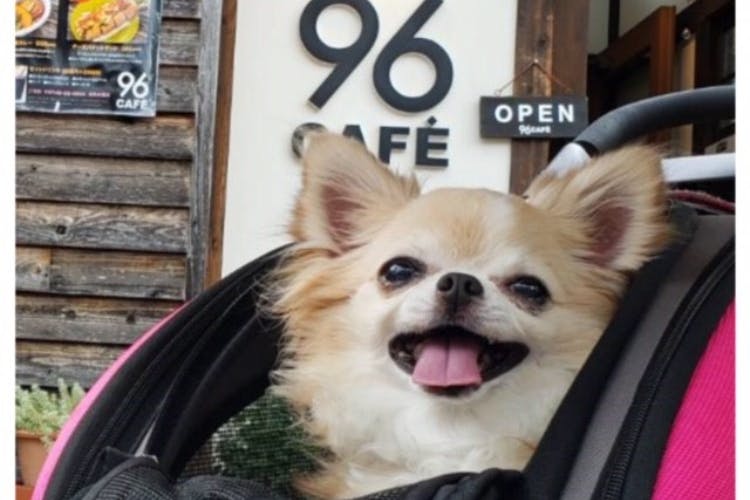 1番目のメイン画像