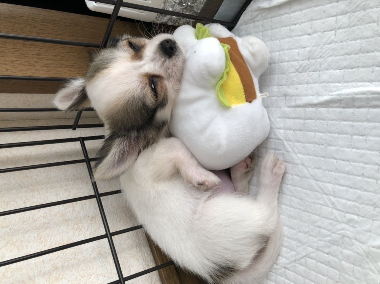 2番目のメイン画像