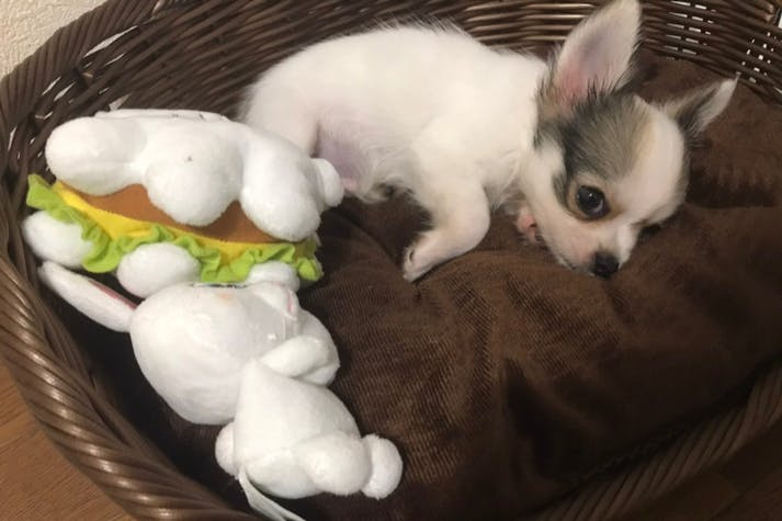 1番目のメイン画像