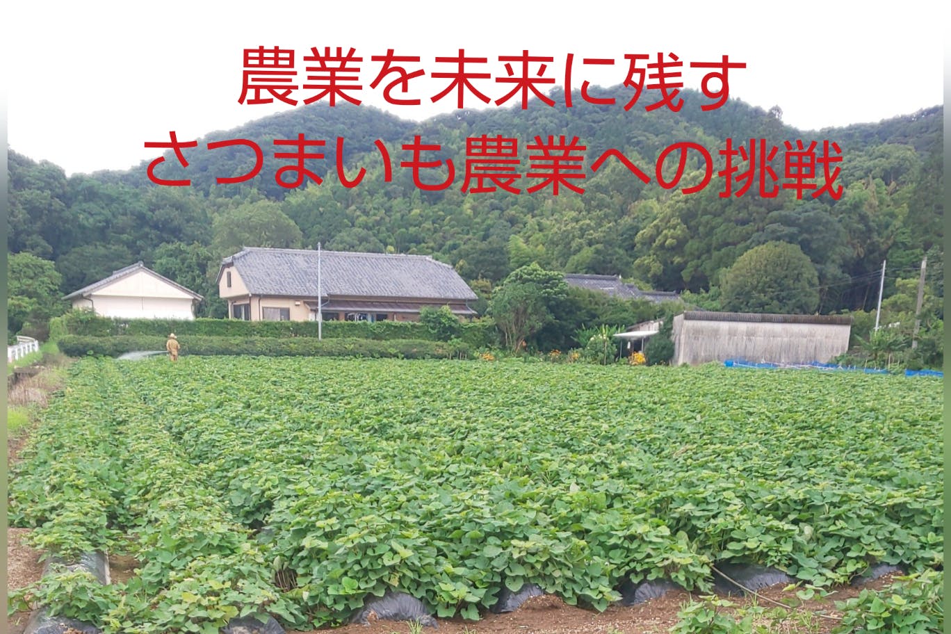 1番目のメイン画像