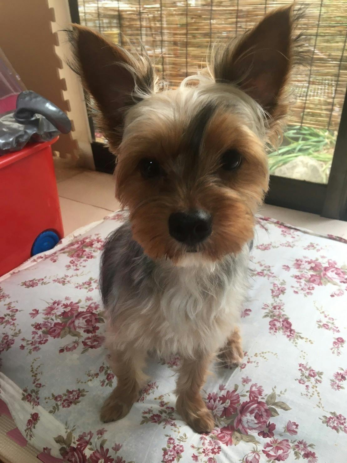 2番目のメイン画像