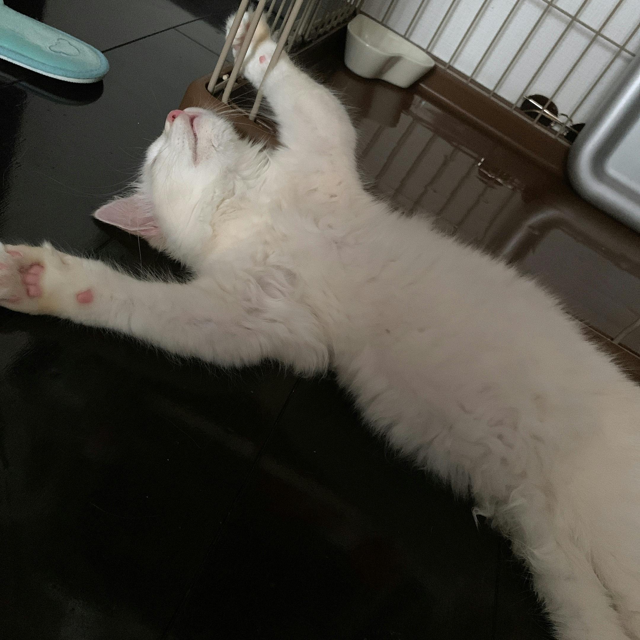 3番目のメイン画像