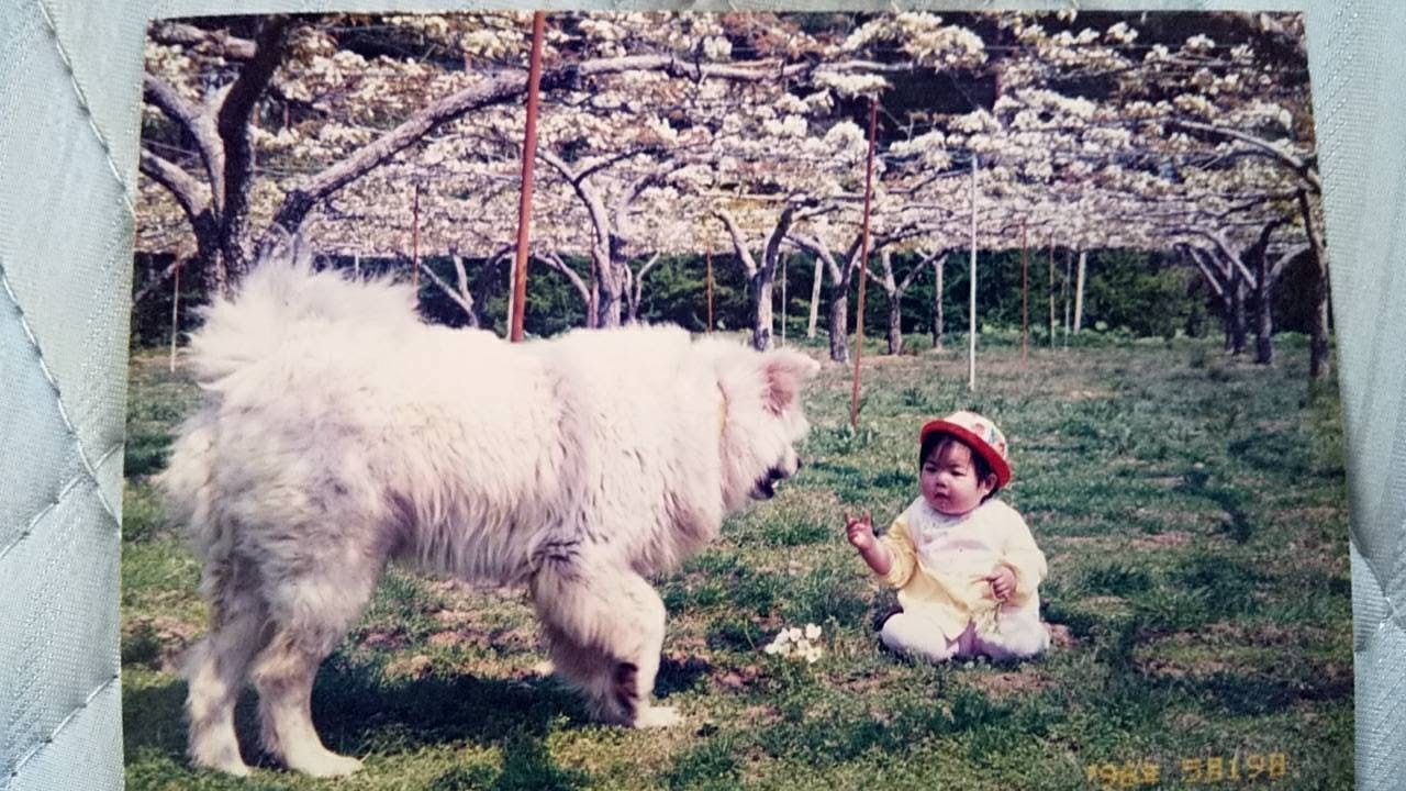 3番目のメイン画像