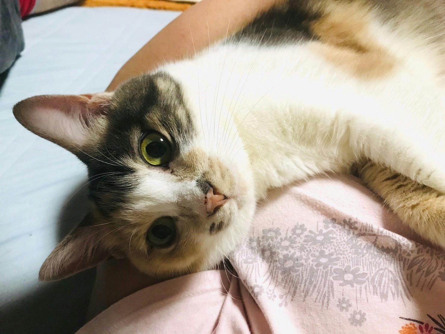 5番目のメイン画像