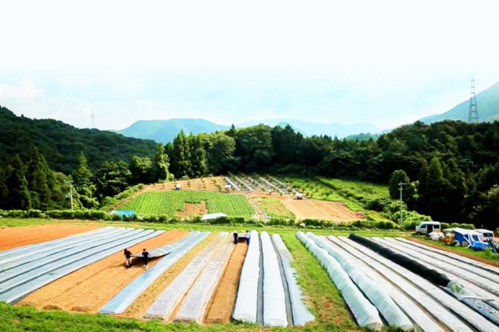 1番目のメイン画像