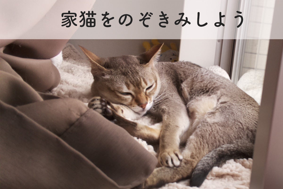 3番目のメイン画像