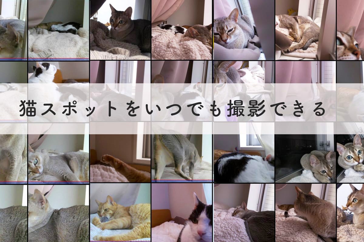 5番目のメイン画像