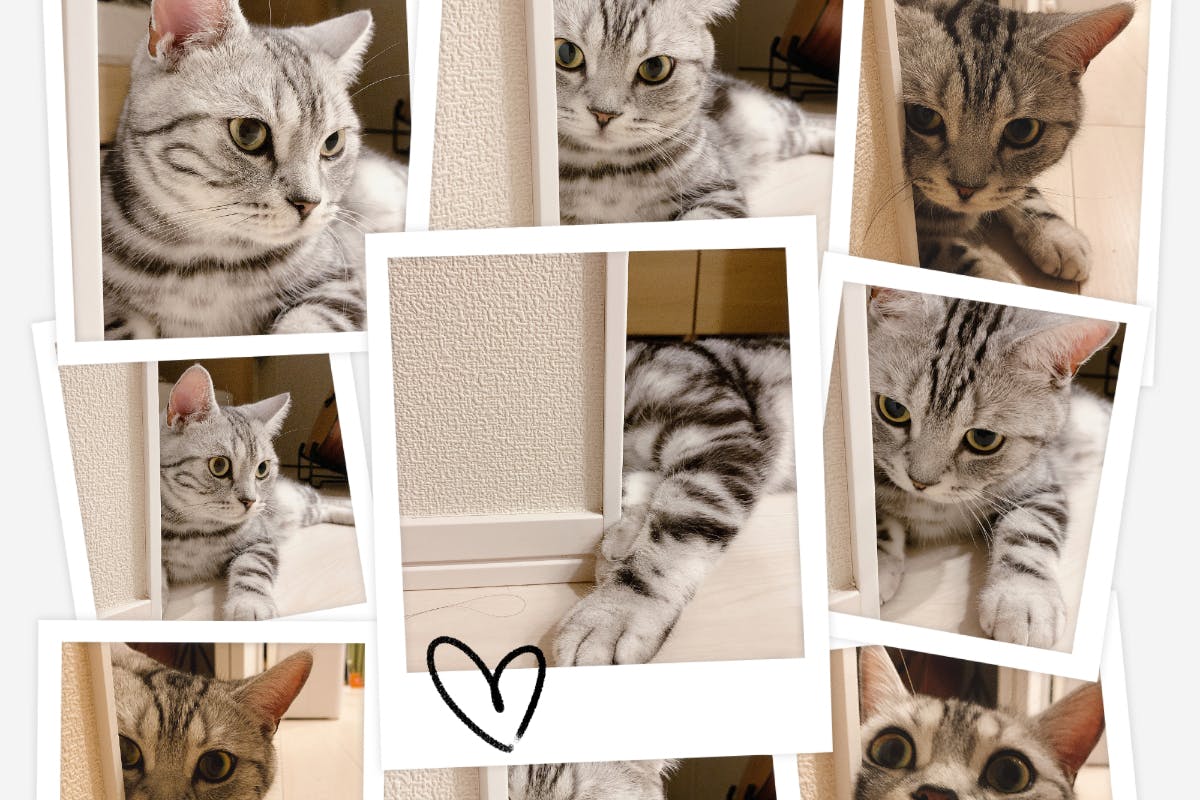 1番目のメイン画像