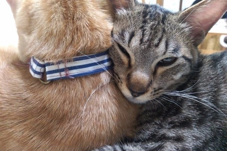 1番目のメイン画像