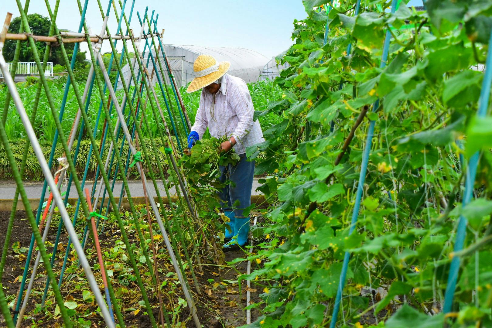 3番目のメイン画像