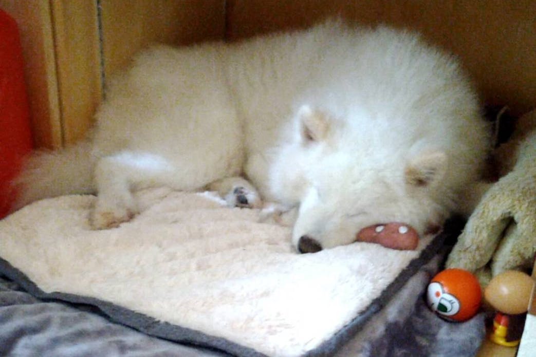 1番目のメイン画像