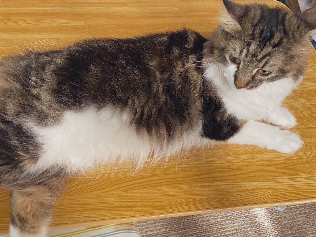 2番目のメイン画像