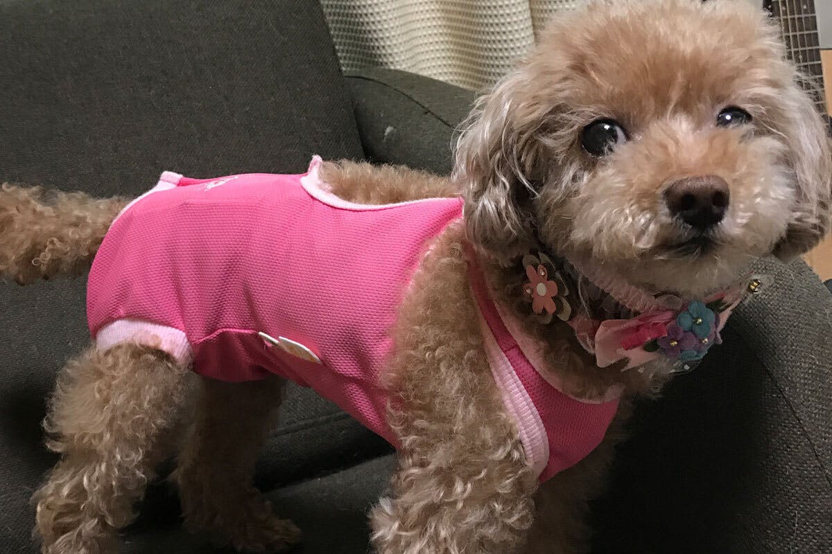 4番目のメイン画像