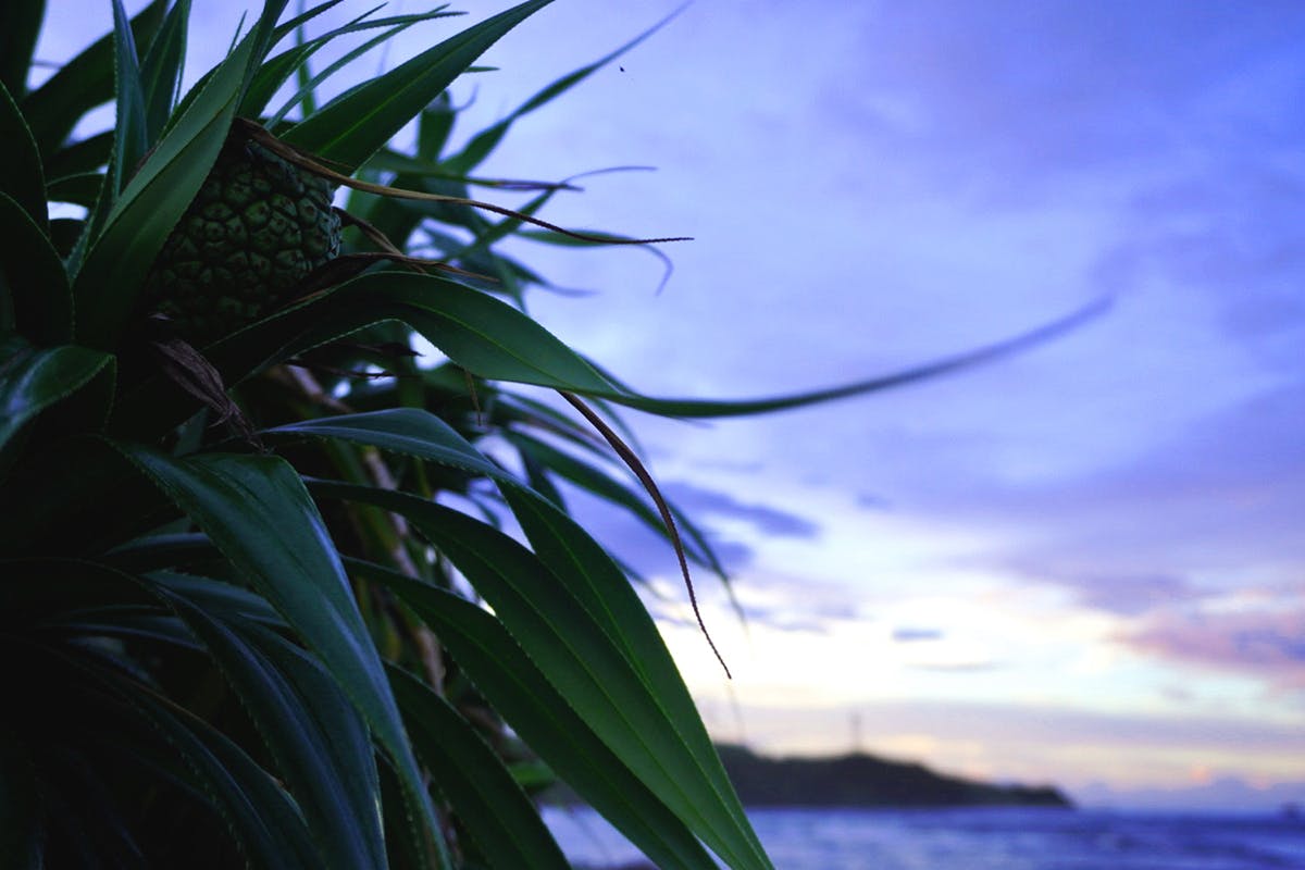 4番目のメイン画像