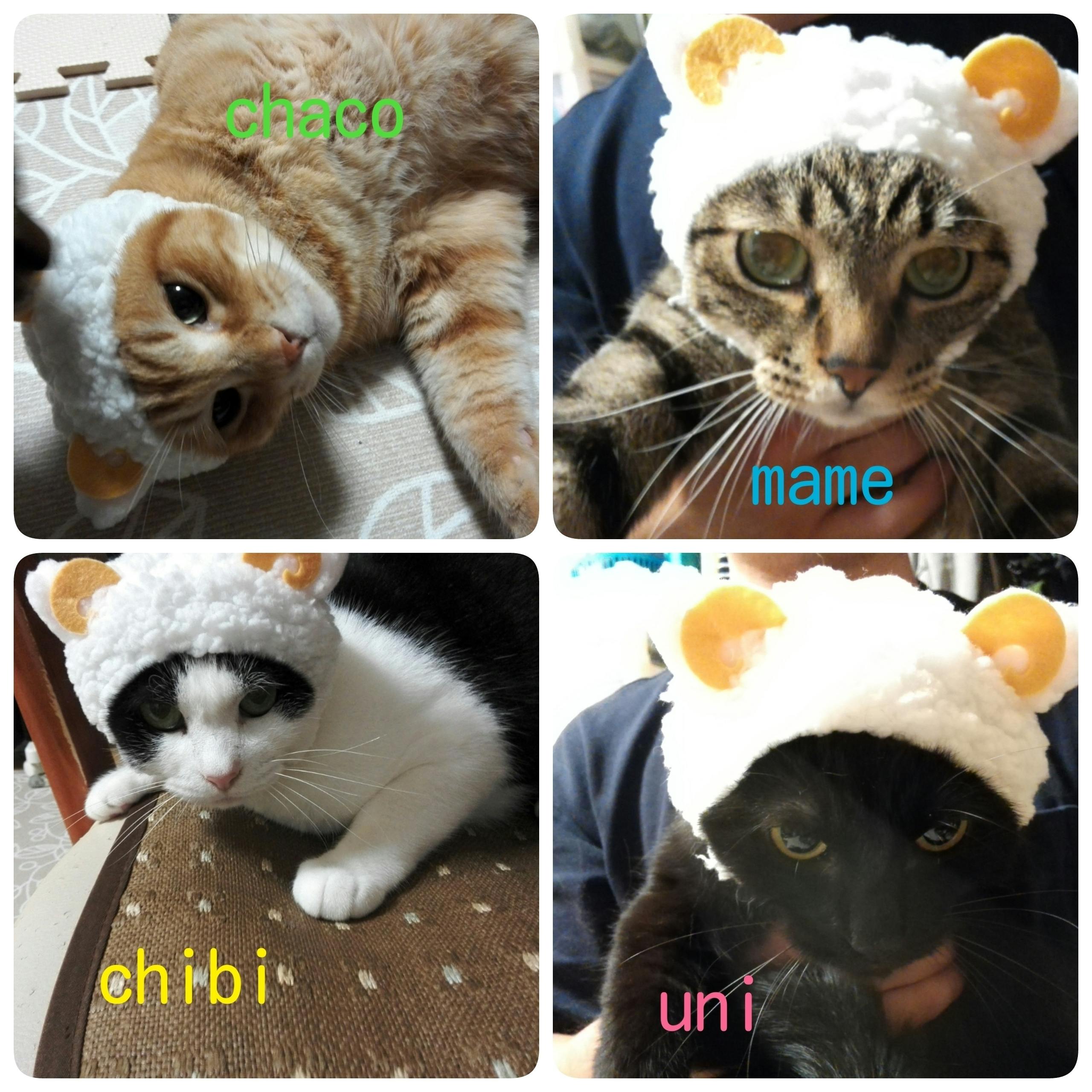 5番目のメイン画像